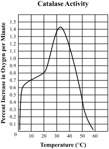 what is the optimum temperature for catalase