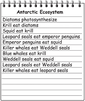 external image 06b910q11.gif