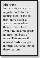 Migration: In the spring many birds migrate north to their nesting sites. In the fall they move south to warmer areas where there is more food. Even tiny hummingbirds migrate hundreds of miles. This means that unusual birds may pass through your area during these seasons.