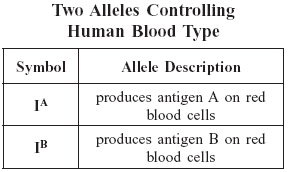 alleles human blood types