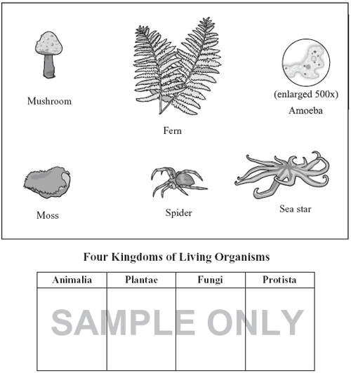 2007 mcas grade 8 science and