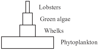 external image 09bio10q43a.gif