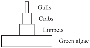 external image 09bio10q43c.gif