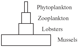 external image 09bio10q43d.gif