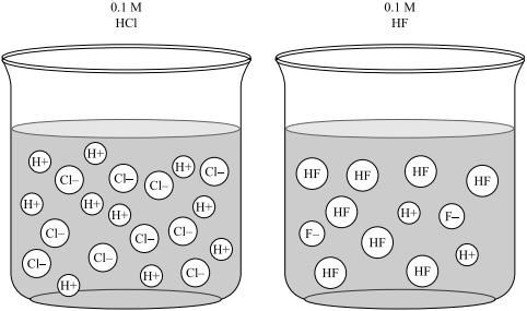 The diagram shows two beakers. Each beaker is filled with the same amount of liquid. The beaker on the left is titled zero point one molar H C L and contains 10 small circles labeled H plus and 10 small circles labeled C L minus. The circles are distributed uniformly in the liquid. The beaker on the right is labeled zero point one molar H F and contains 8 small circles labeled H F, two small circles labeled H plus, and two small circles labeled F minus. The circles are distributed uniformly in the liquid.